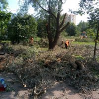 На реконструкцию парка «Рабочий сад» в Ярославле потратят еще 8,5 миллионов рублей