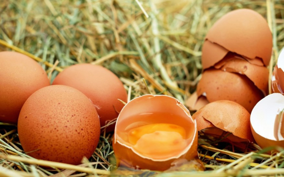 В Ярославской области назвали причину подорожания яиц