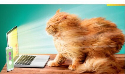 «Дом.ru» и «МегаФон» предложили «Успеть за интернетом»