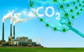 Достижение углеродной нейтральности: эксперименты в климатической политике