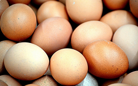В Ярославской области птицефабрики произвели почти 2 млрд яиц