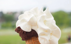 В Ярославской области открылась фабрика мороженого