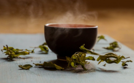 Диетолог Фус назвала вредные свойства зеленого чая