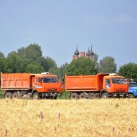 Уборка зерновых культур стартовала в Ярославской области