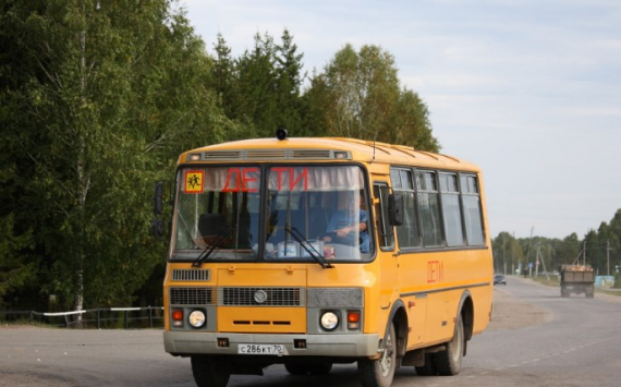 В Ярославской области школьные автобусы закупили за 9,5 млн рублей
