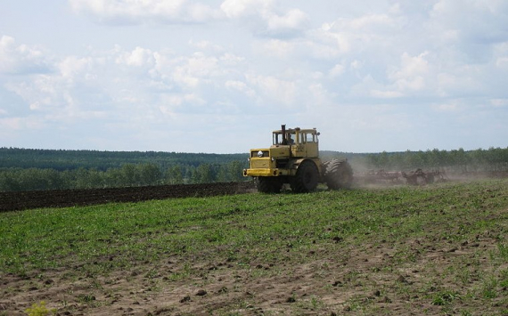 В Ярославской области на поддержку фермеров направят 75 млн рублей