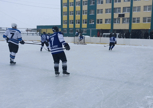 Илья Авербух открыл в Ярославле хоккейный корт